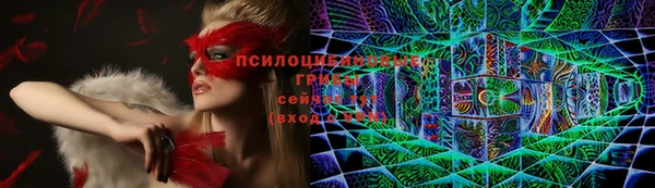 не бодяженный Кукмор