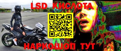 прущие крисы Владимир