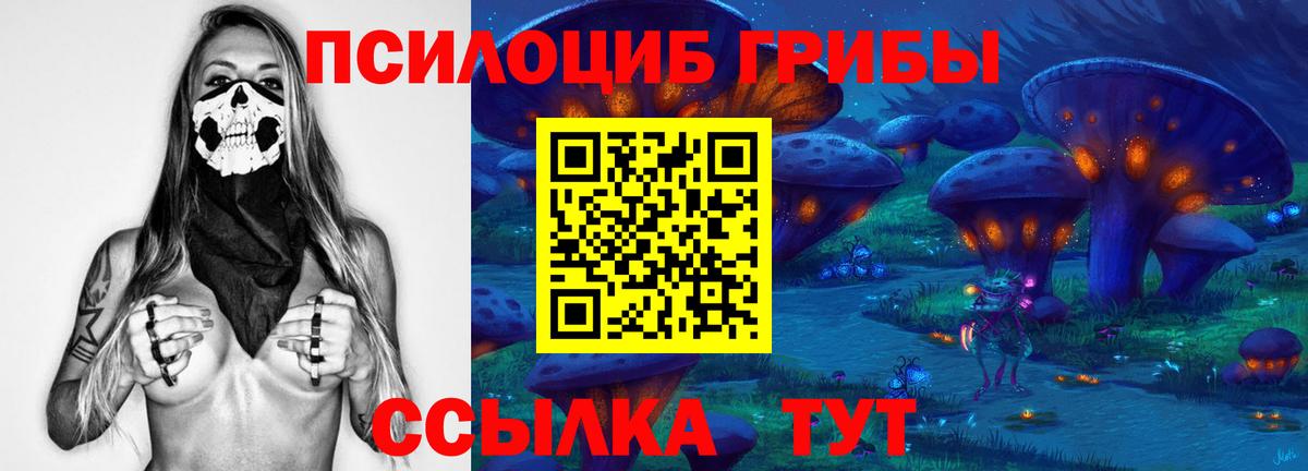 Барнаул  Галлюциногенные грибы Psilocybine cubensis  Вход с VPN  Псилоцибиновые грибы Psilocybe 