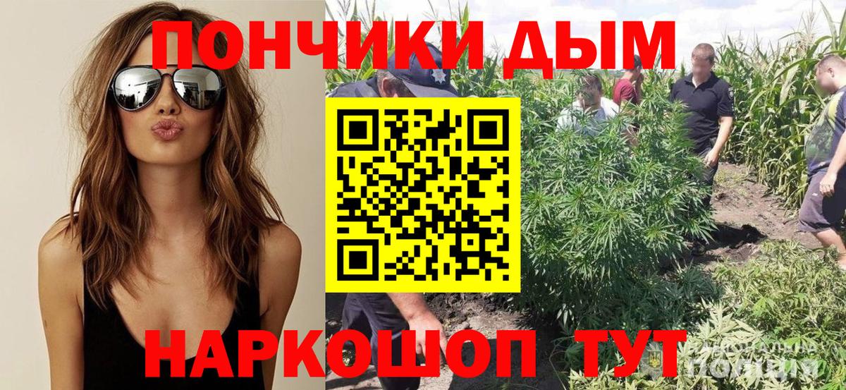 Шишки марихуана SATIVA & INDICA  Канабис планчик  Барнаул  Канабис MAZAR 